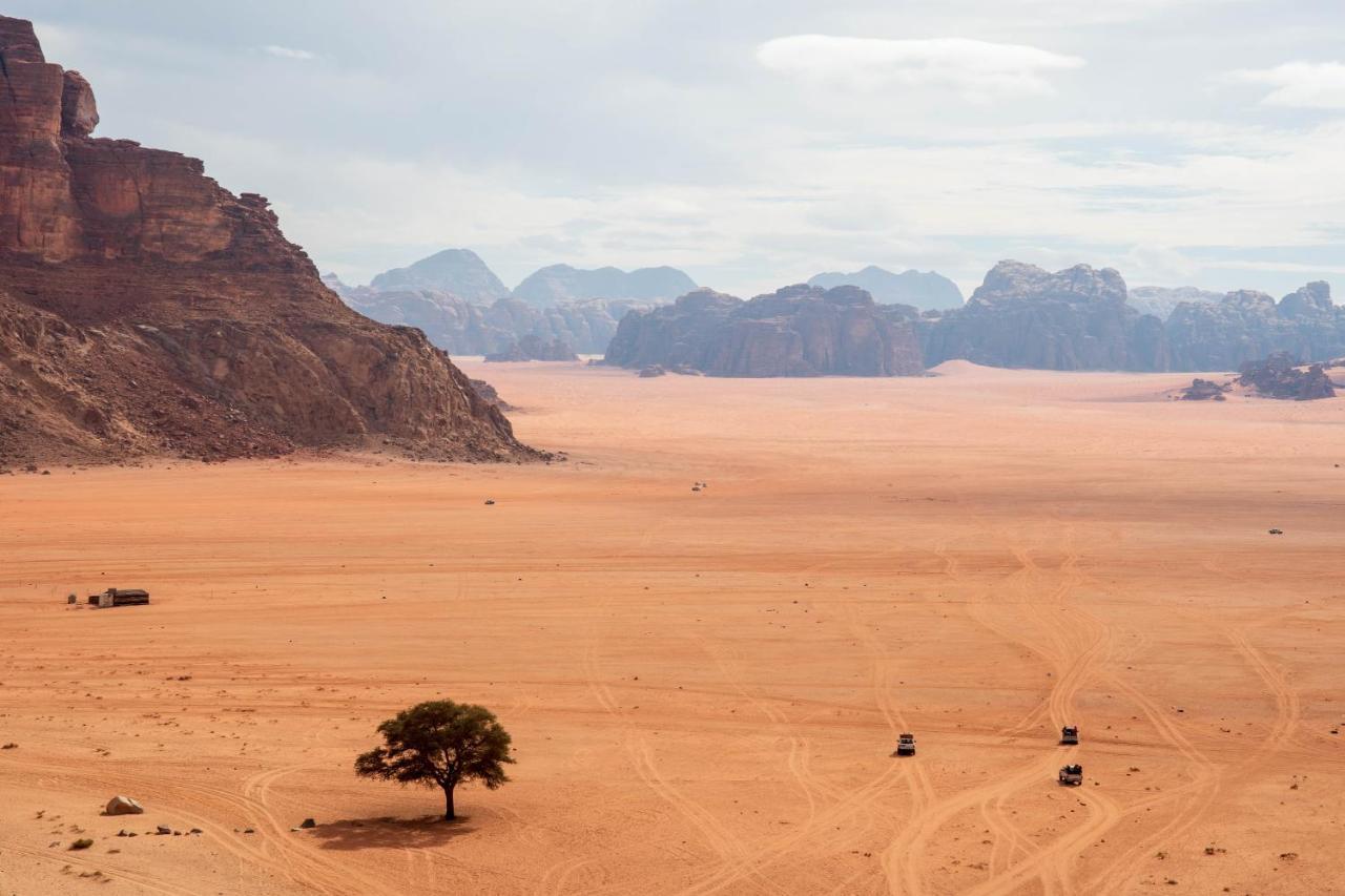 Wadi Rum Nights Bagian luar foto
