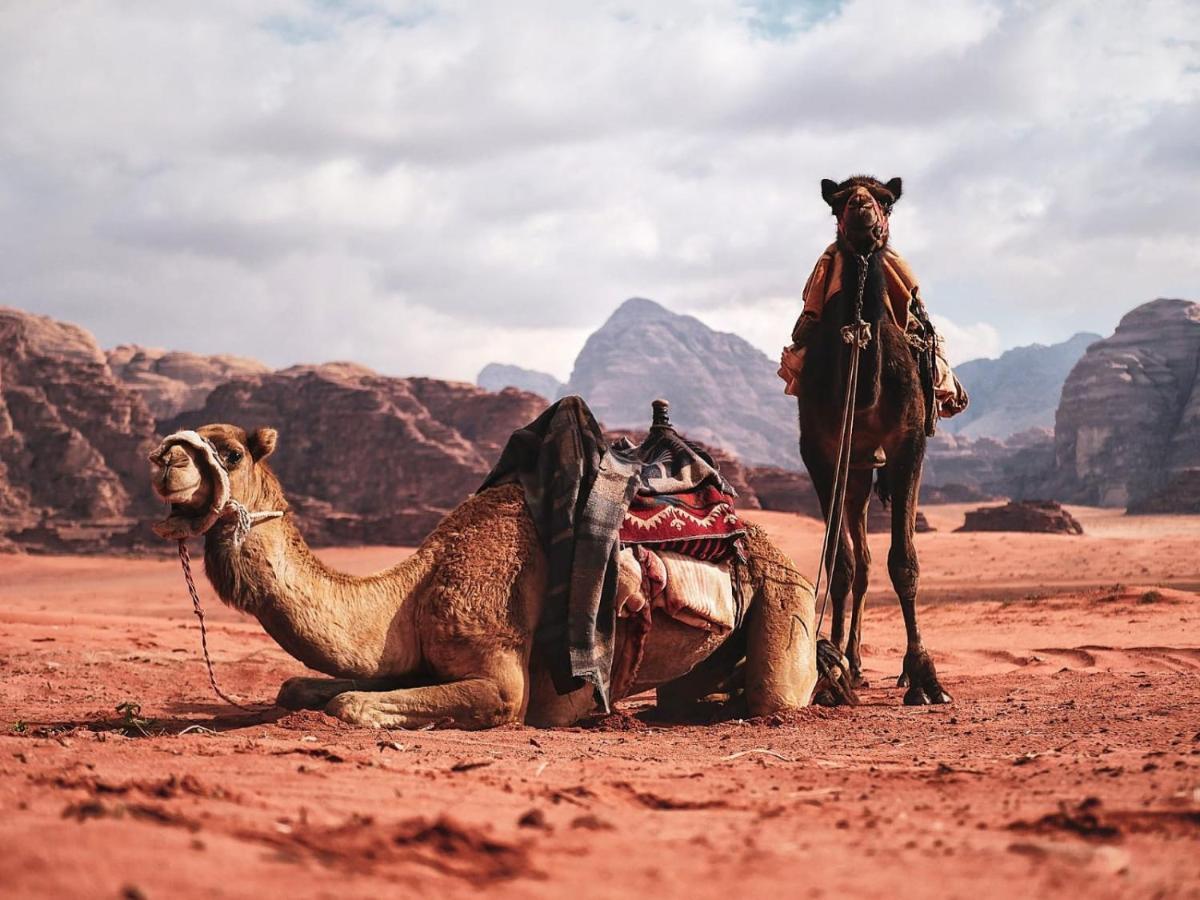 Wadi Rum Nights Bagian luar foto