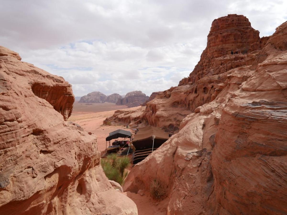 Wadi Rum Nights Bagian luar foto