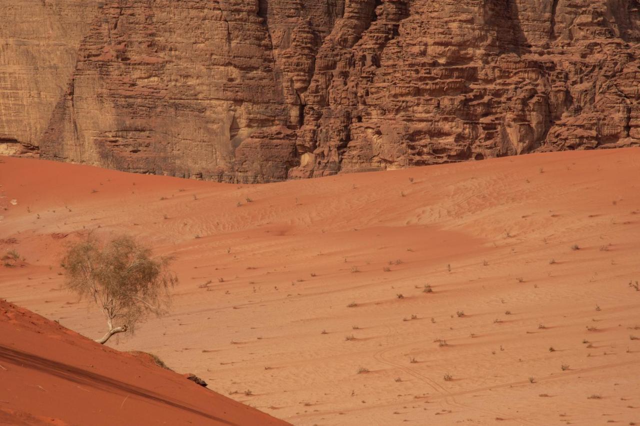 Wadi Rum Nights Bagian luar foto
