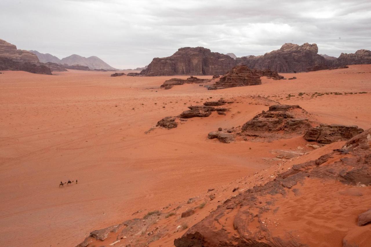 Wadi Rum Nights Bagian luar foto