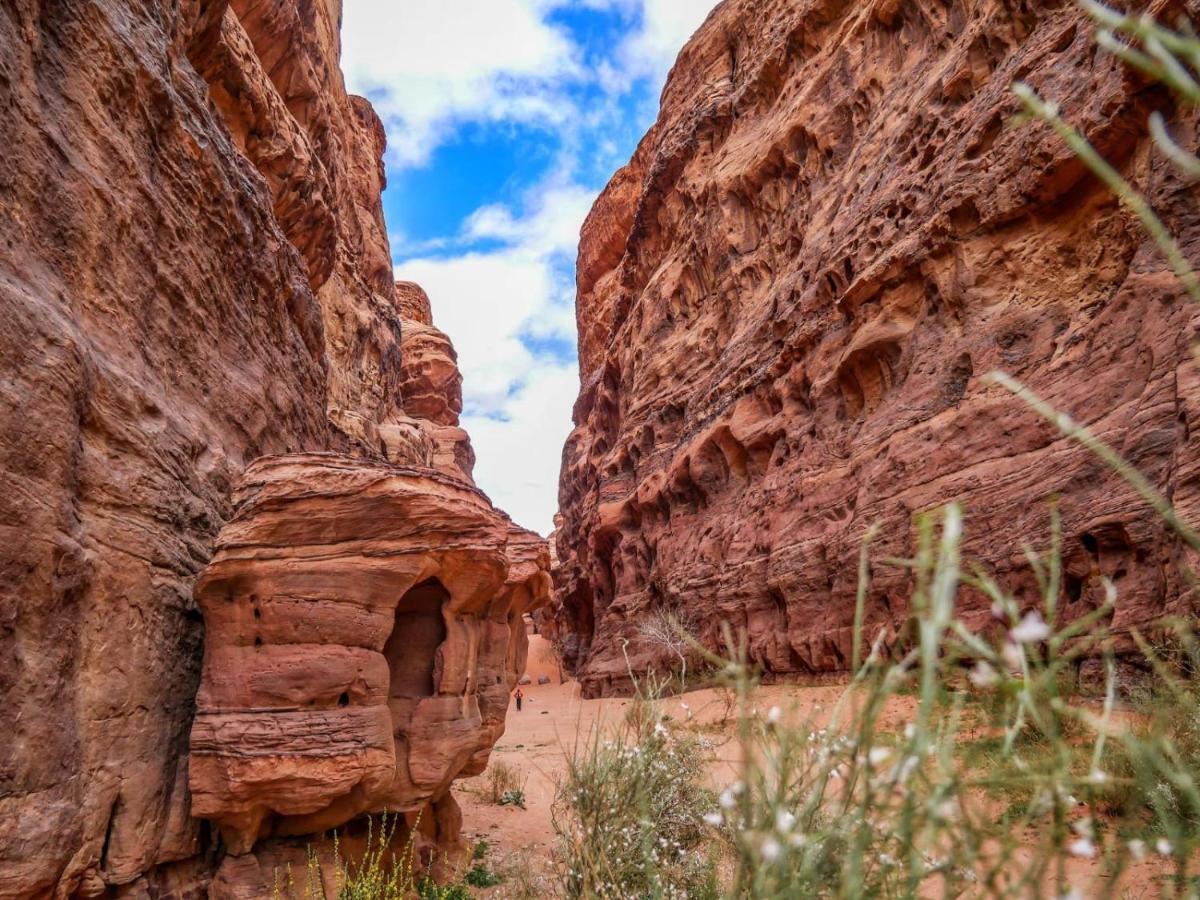 Wadi Rum Nights Bagian luar foto