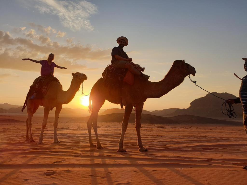 Wadi Rum Nights Bagian luar foto