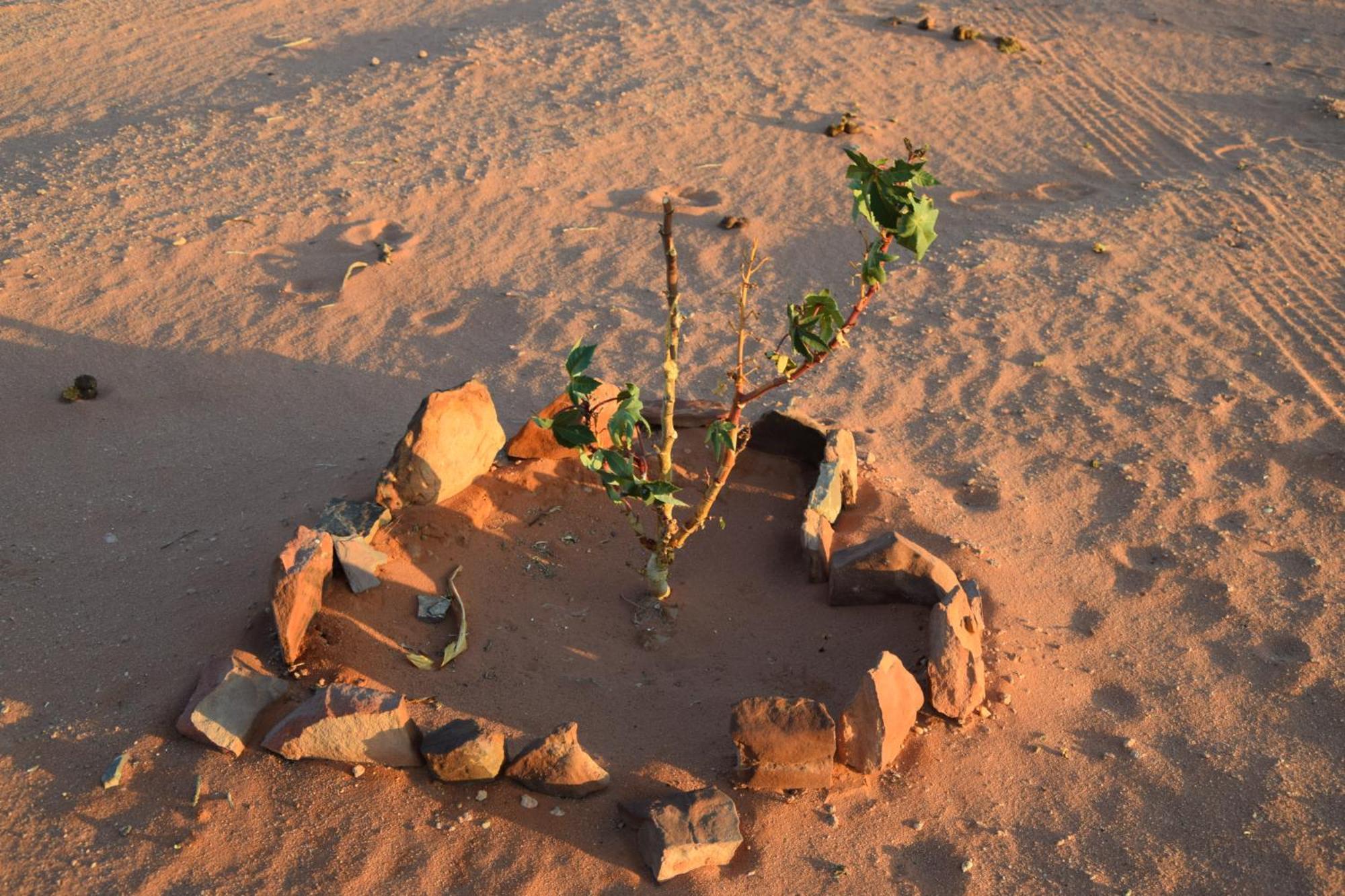 Wadi Rum Nights Bagian luar foto